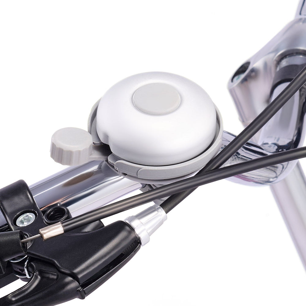 VB1 City Adult Tricycle with Dual Baskets