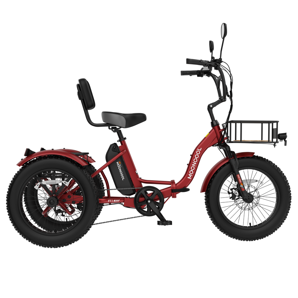 FT1 Electric Trike