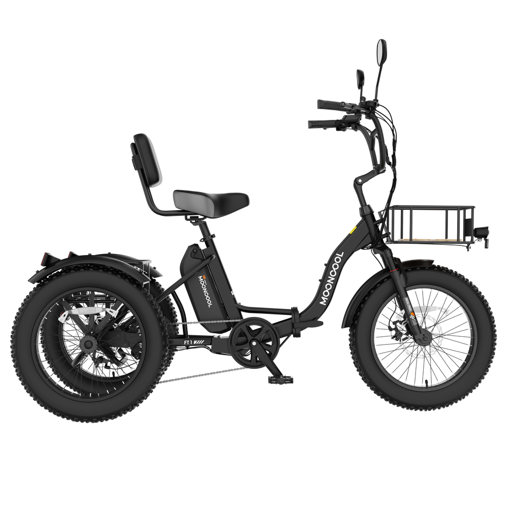 FT1 Fat Tire Electric Trike