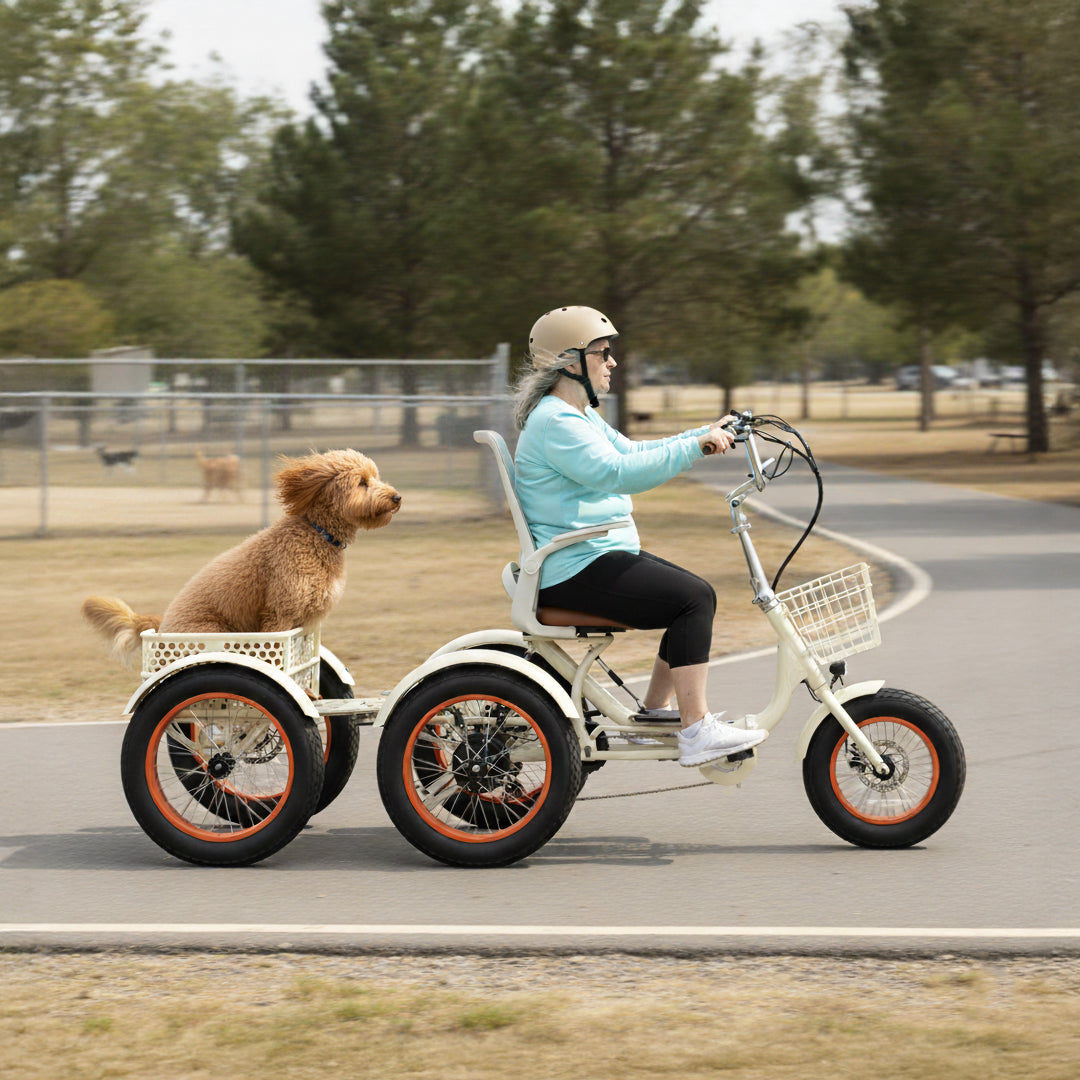 Simple Glide Fat Tire 750W  Recumbent E Trike 2026 w/ Footrest & Hitch Connector