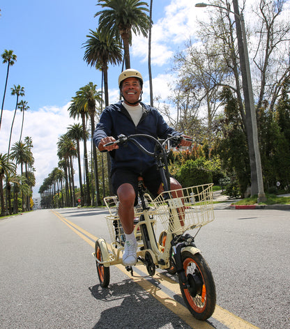 Easy Transit 750W Folding Electric Trike