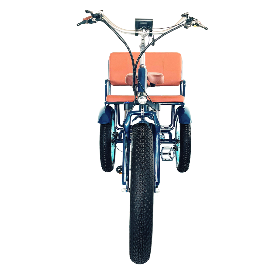 EVRY journey  Electric Tricycle Rickshaw 750W with Passenger Seat