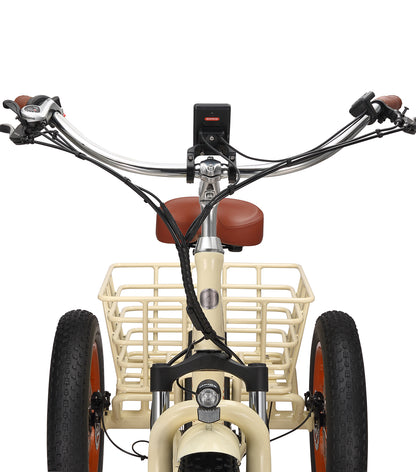 Simple Step Thru FAT Tire 3 Wheel Electric Bike