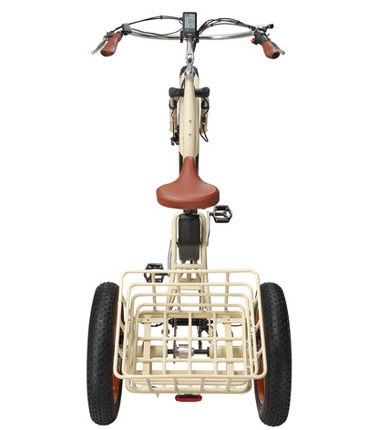 Simple Step Thru FAT Tire 3 Wheel Electric Bike