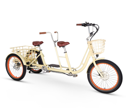 EVRYjourney Electric Trike Tandem 750w