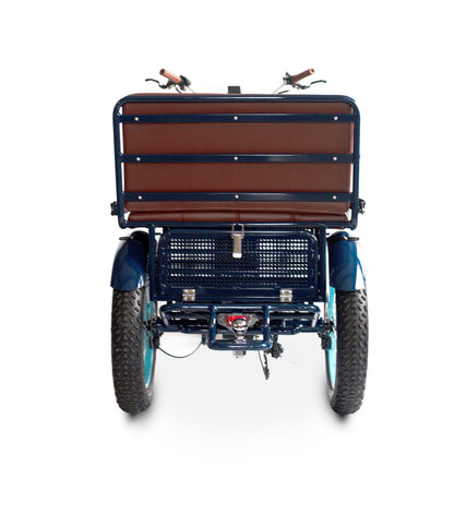 EVRYjourney EBike Rickshaw Dual 750w (Max 1500w, Dual Battery, Total 42ah)