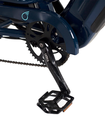 EVRYjourney EBike  Rickshaw Dual 750w (Max 1500w, Dual Battery, Total 42ah)