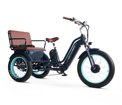 EVRYjourney EBike  Rickshaw Dual 750w (Max 1500w, Dual Battery, Total 42ah)
