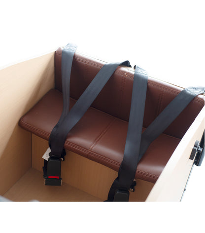 EVRYjourney Family Cargo Etrike 1000w