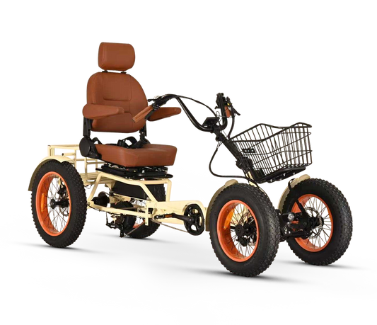 ANYterrain 4 Wheel 750w Recumbent EBike