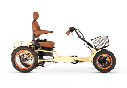 ANYterrain 4 Wheel 750w  Recumbent  EBike