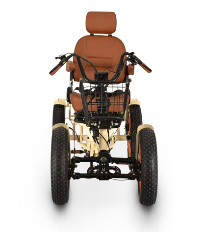 ANYterrain 4 Wheel 750w Recumbent EBike