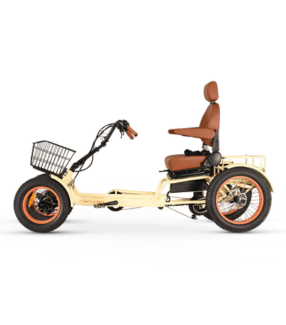 ANYterrain 4 Wheel 750w Recumbent EBike