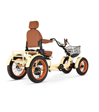 ANYterrain 4 Wheel 750w  Recumbent  EBike