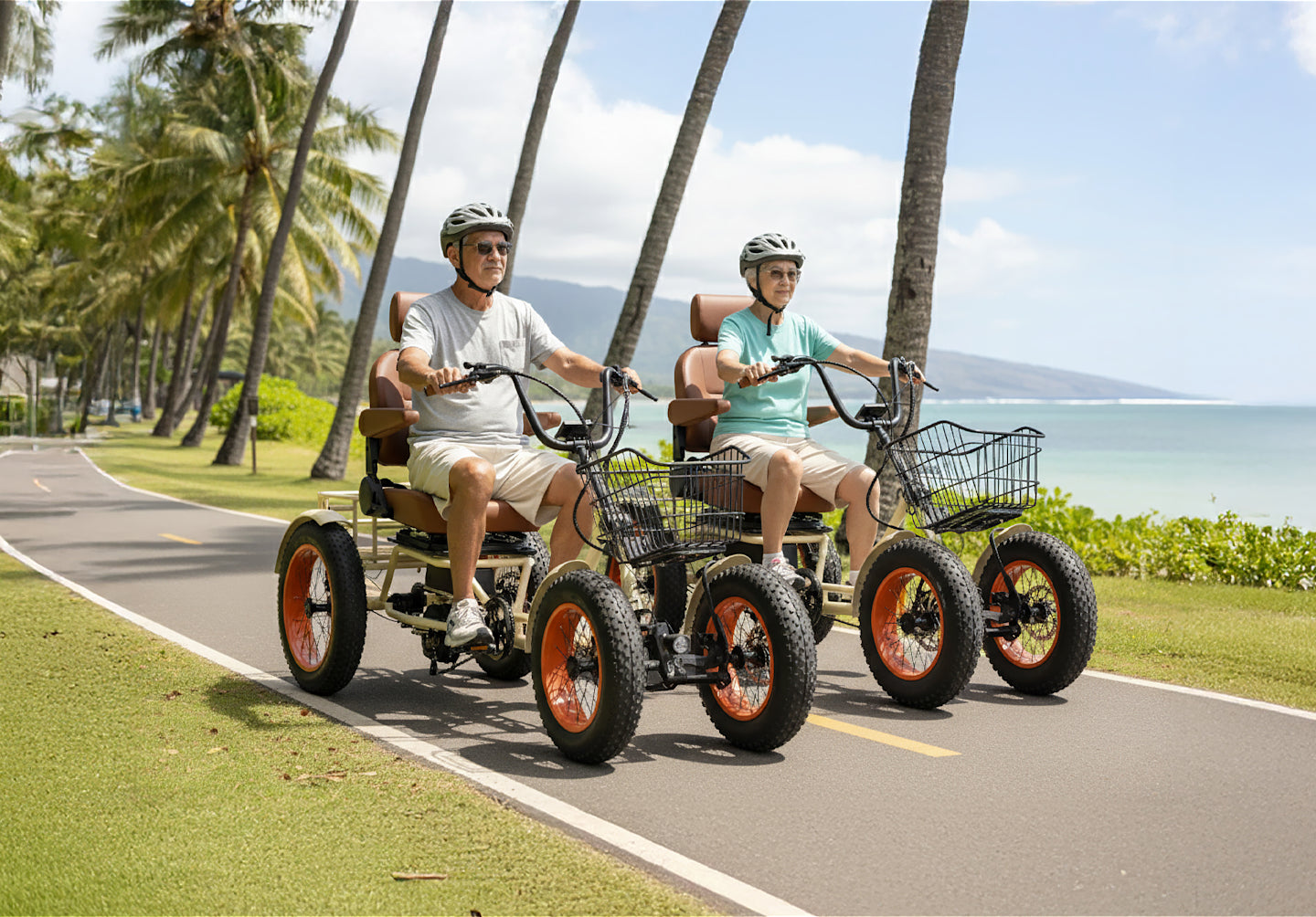 ANYterrain 4 Wheel 750w Recumbent EBike