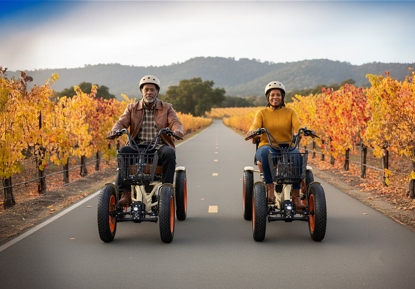 ANYterrain 4 Wheel 750w  Recumbent  EBike