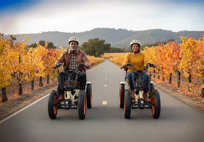 ANYterrain 4 Wheel 750w  Recumbent  EBike
