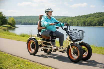ANYterrain 4 Wheel 750w Recumbent EBike