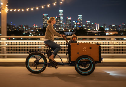 EVRYjourney Family Cargo Etrike 1000w