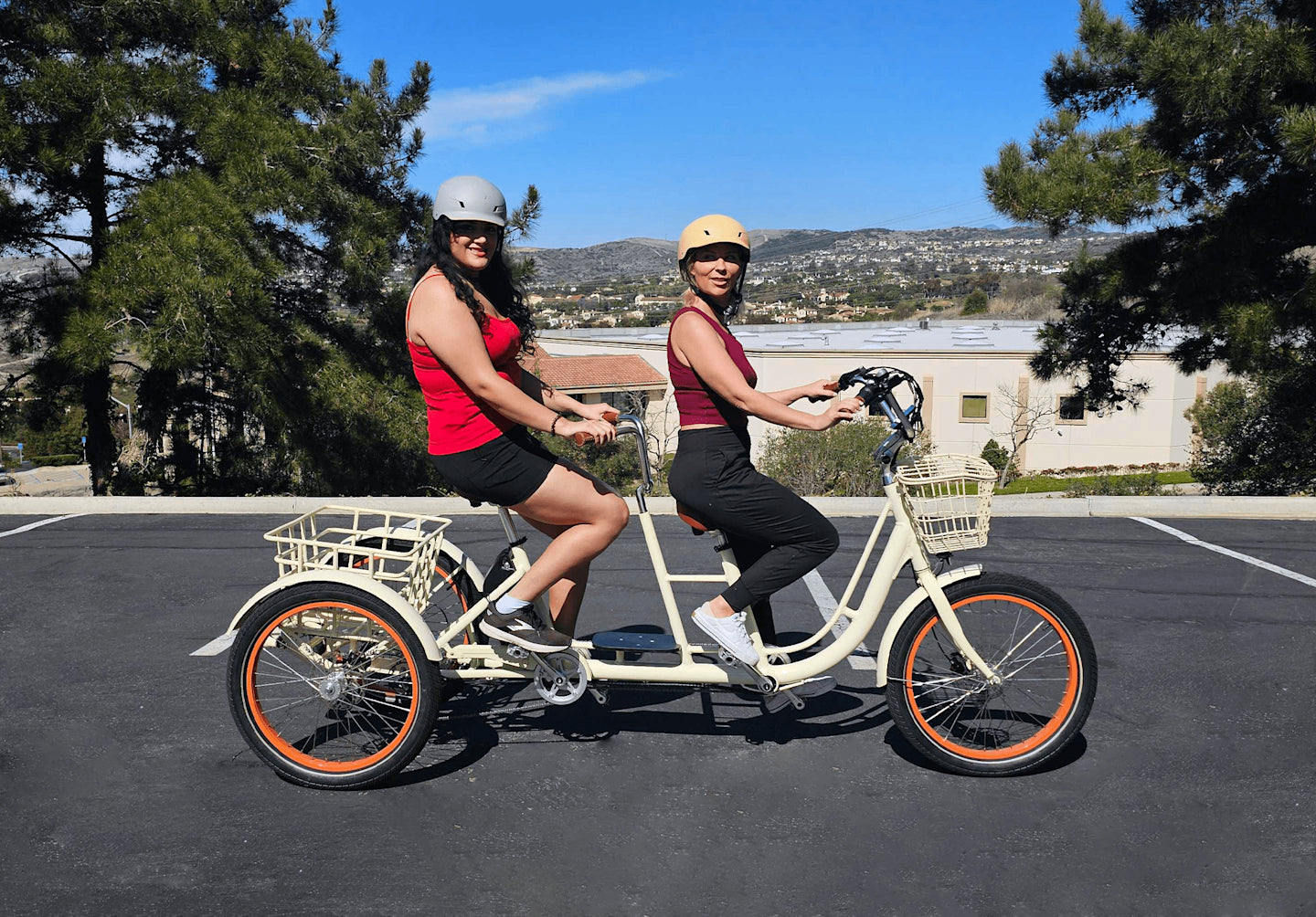 EVRYjourney Electric Trike Tandem 750w