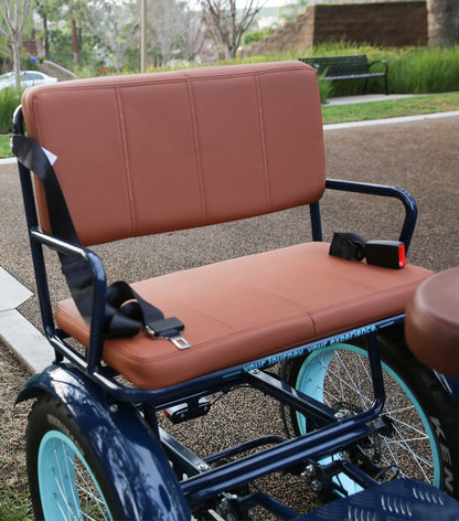 EVRY journey  Electric Tricycle Rickshaw 750W with Passenger Seat