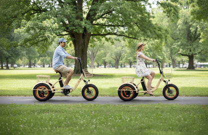 Easy Transit 750W Fat Tire Electric Trike