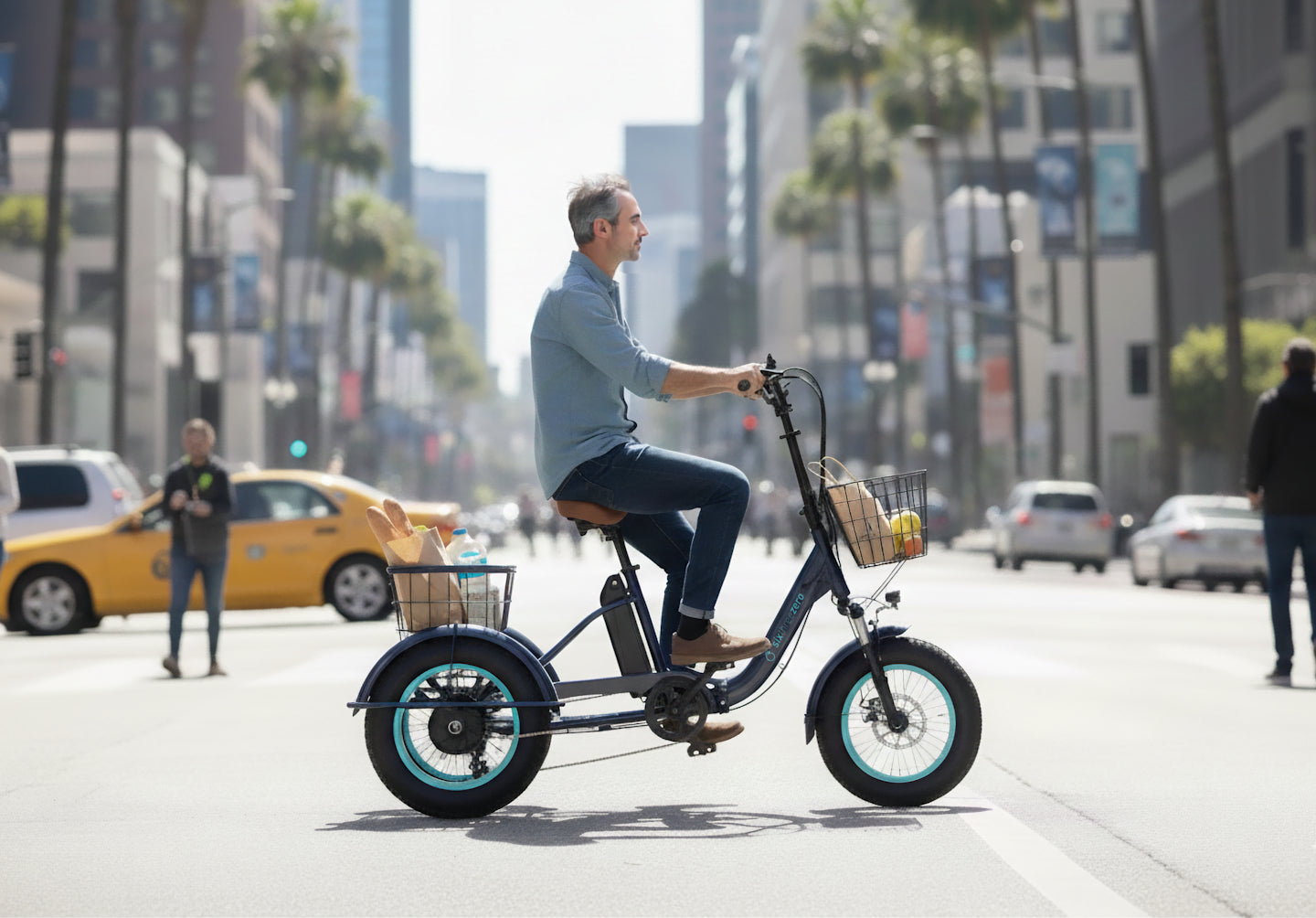 Easy Transit 750W Fat Tire Electric Trike