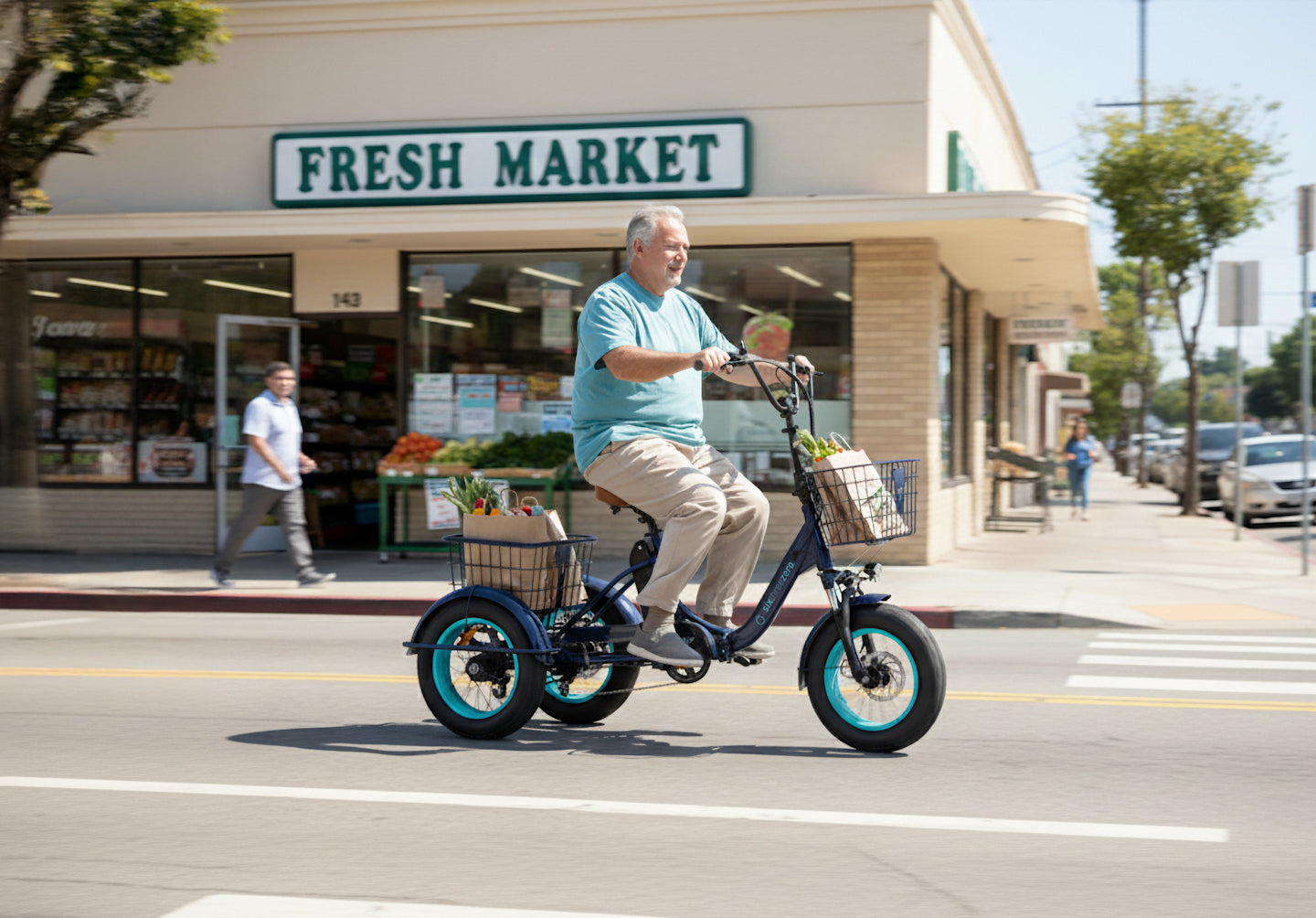 Easy Transit 750W Fat Tire Electric Trike