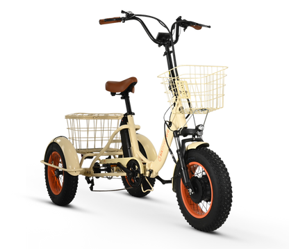 Easy Transit 750W Fat Tire Electric Trike