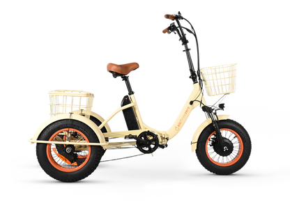 Easy Transit 750W Fat Tire Electric Trike