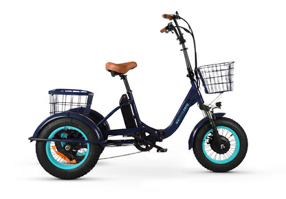 Easy Transit 750W Fat Tire Electric Trike