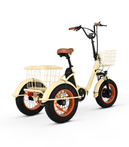 Easy Transit 750W Fat Tire Electric Trike