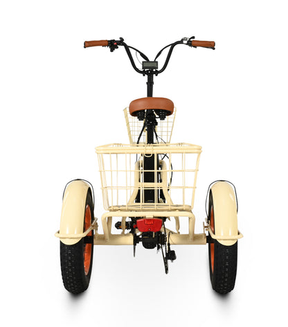 Easy Transit 750W Fat Tire Electric Trike