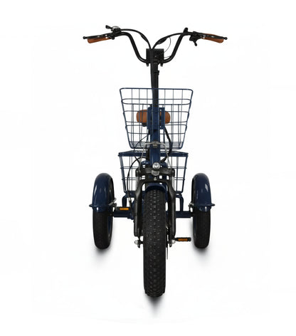 Easy Transit 750W Fat Tire Electric Trike
