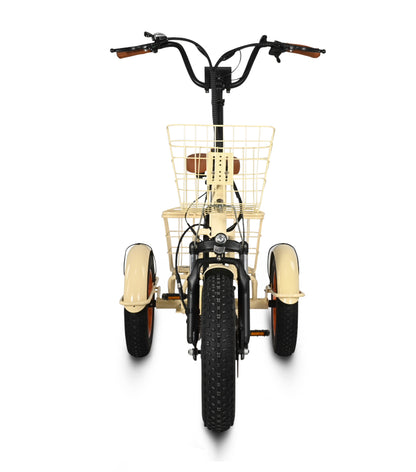 Easy Transit 750W Fat Tire Electric Trike