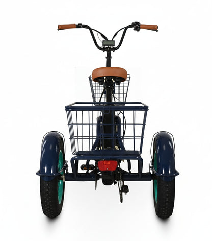 Easy Transit 750W Fat Tire Electric Trike