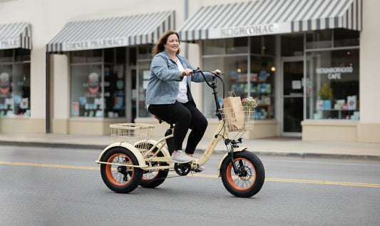 Easy Transit 750W Fat Tire Electric Trike