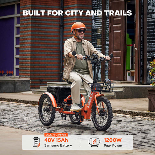 Viribus FC1 Folding Electric Tricycle