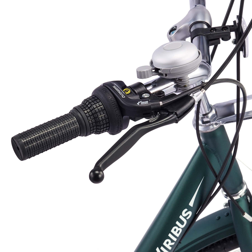 VB1 City Adult Tricycle with Dual Baskets