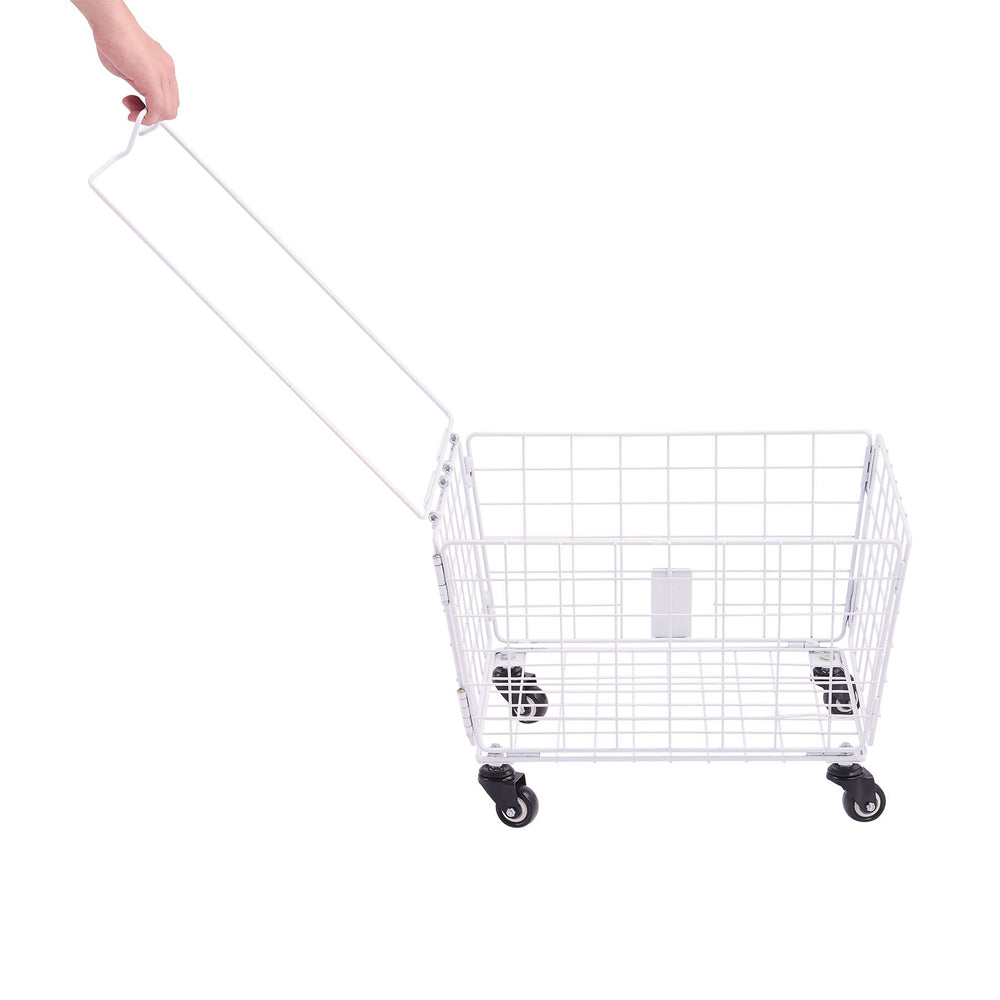 VB1 City Adult Tricycle with Dual Baskets