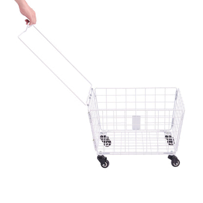 VB1 City Adult Tricycle with Dual Baskets