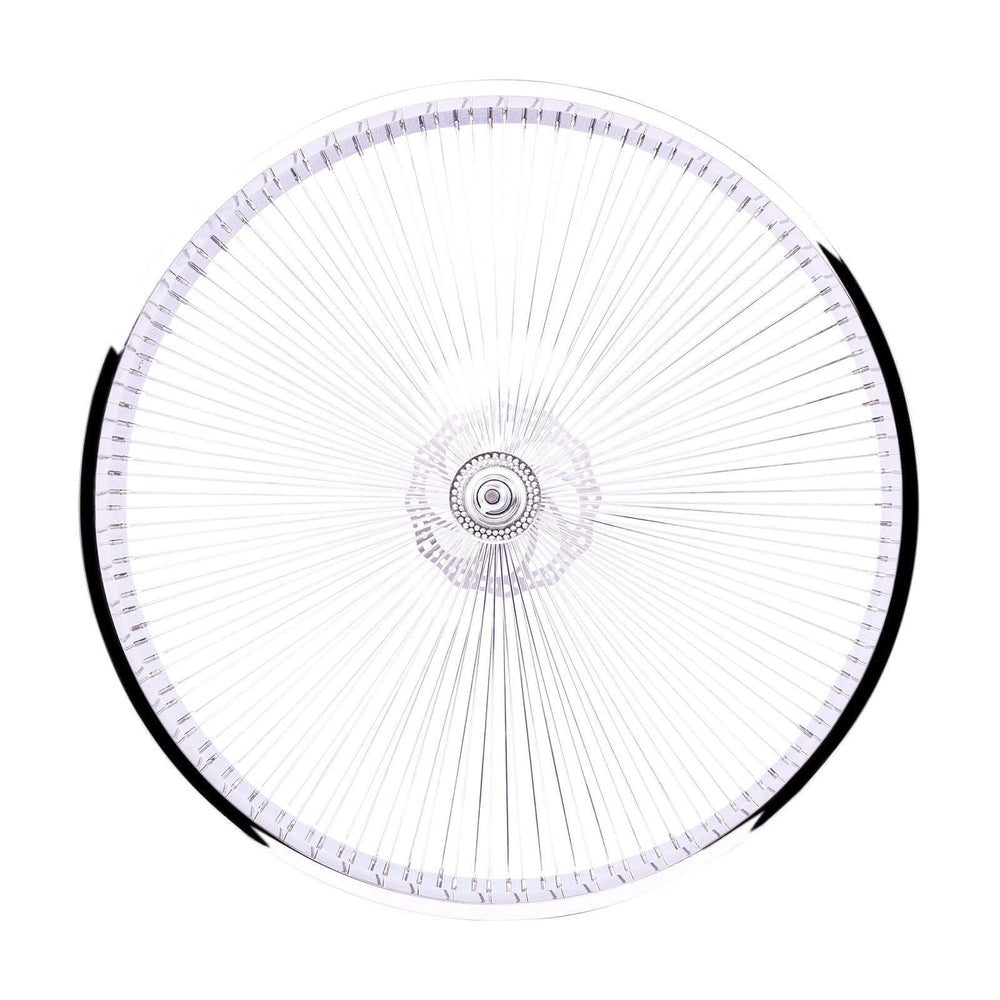 Tracer WH-TH9529140C-CP 29"*3" 29"*4" Mirror Chrome Bike Wheel Set with Coaster Brake