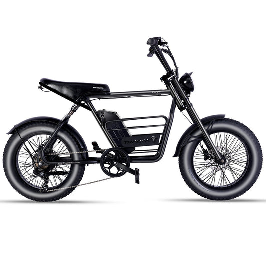Tracer Verge 20"X4.0 Wheel 800W Fat Electric Motorbike