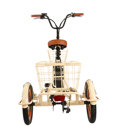 Easy Transit 750W Folding Electric Trike