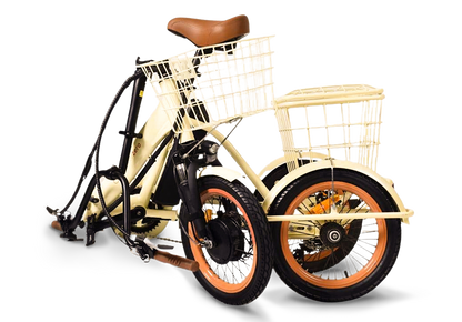 Easy Transit 750W Fat Tire Electric Trike