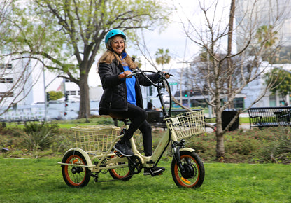 Easy Transit 750W Folding Electric Trike