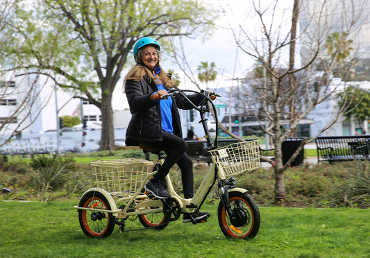 Easy Transit 750W Folding Electric Trike