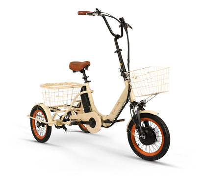 Easy Transit 750W Folding Electric Trike