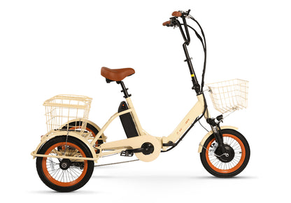 Easy Transit 750W Folding Electric Trike