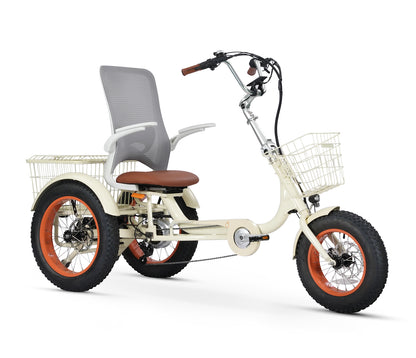 Simple Glide  Low Seat  750w Recumbent ETrike